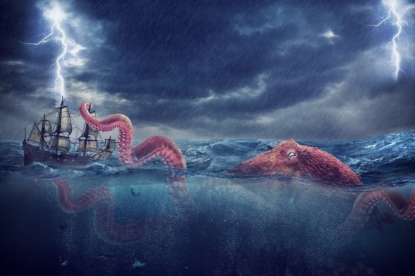Kraken актуальное