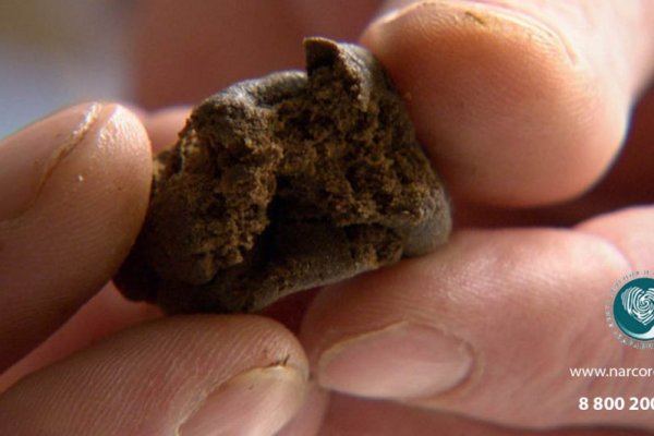 Почему не работает кракен